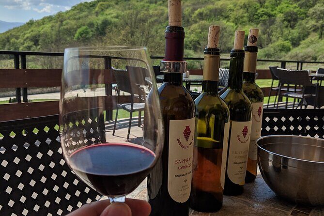 Wine Tasting Tour in Georgia's Cradle of Wine - Day 5: Kvevri workshop, biodynamic vineyards in Ruispiri, and back to Tbilisi