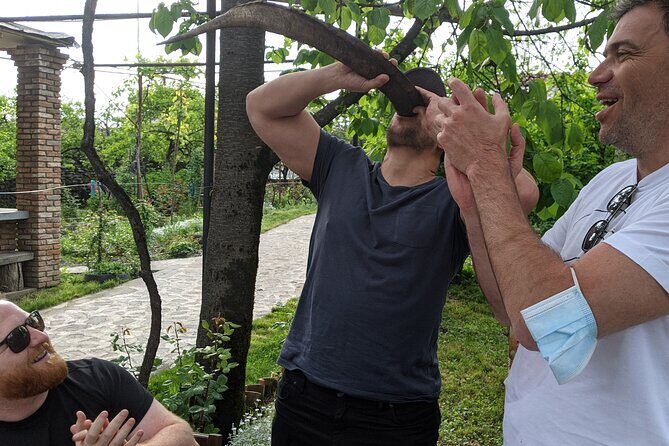 Wine Tasting Tour in Georgia's Cradle of Wine - Price and value: what you’re really paying for